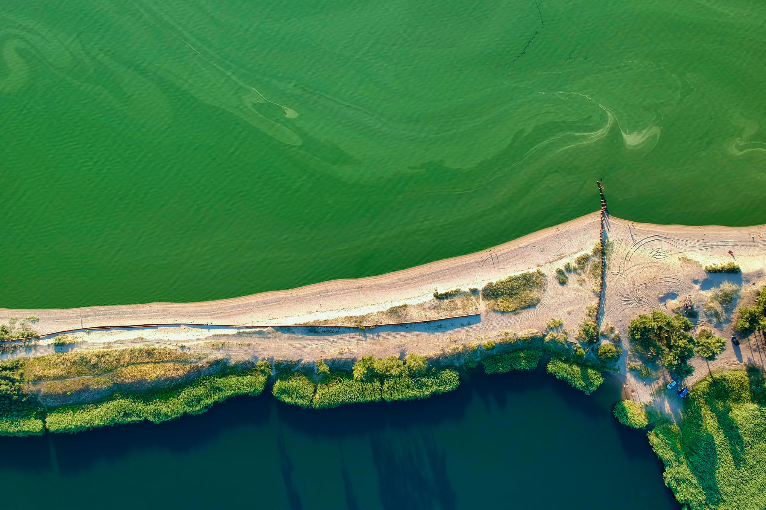 Algae bloom season. Polluted green water of a shallow gulf in summer, aerial view
