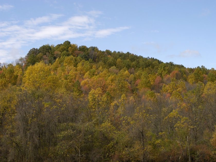 Best Ohio Public Hunting Land By Deer Density