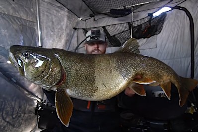 Watch: Canadian Angler Catches Huge Lake Trout Through Ice