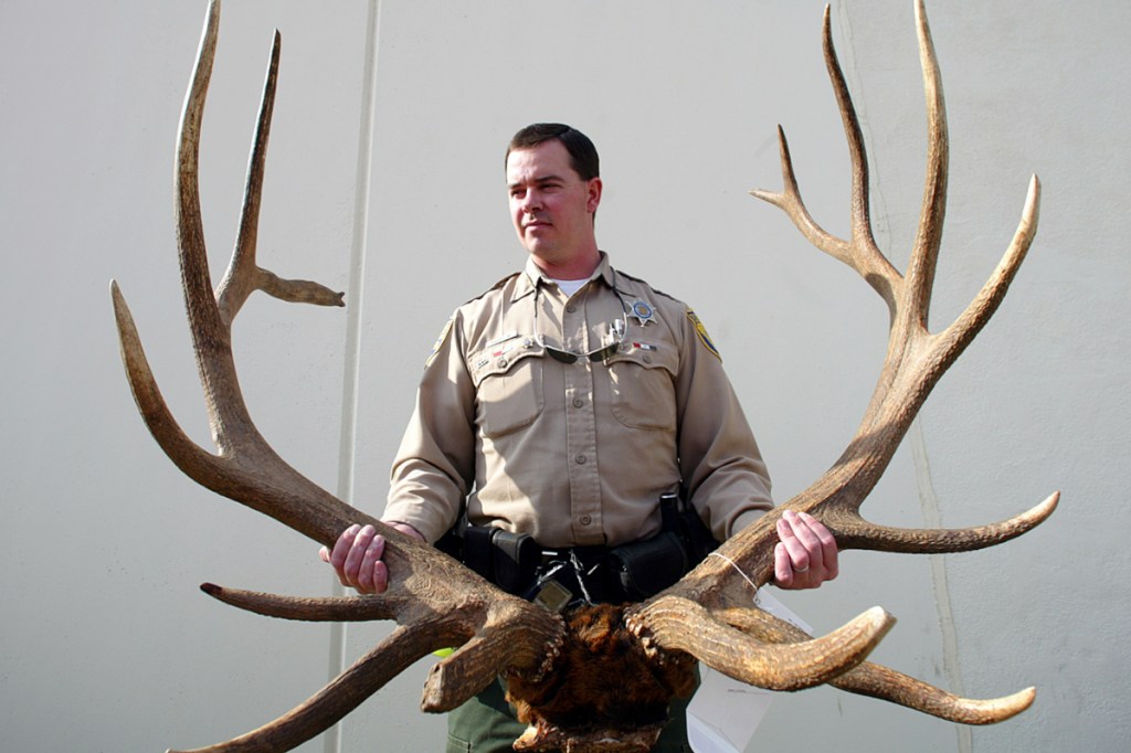 What Happens to Fish and Game That Gets Confiscated From Poachers