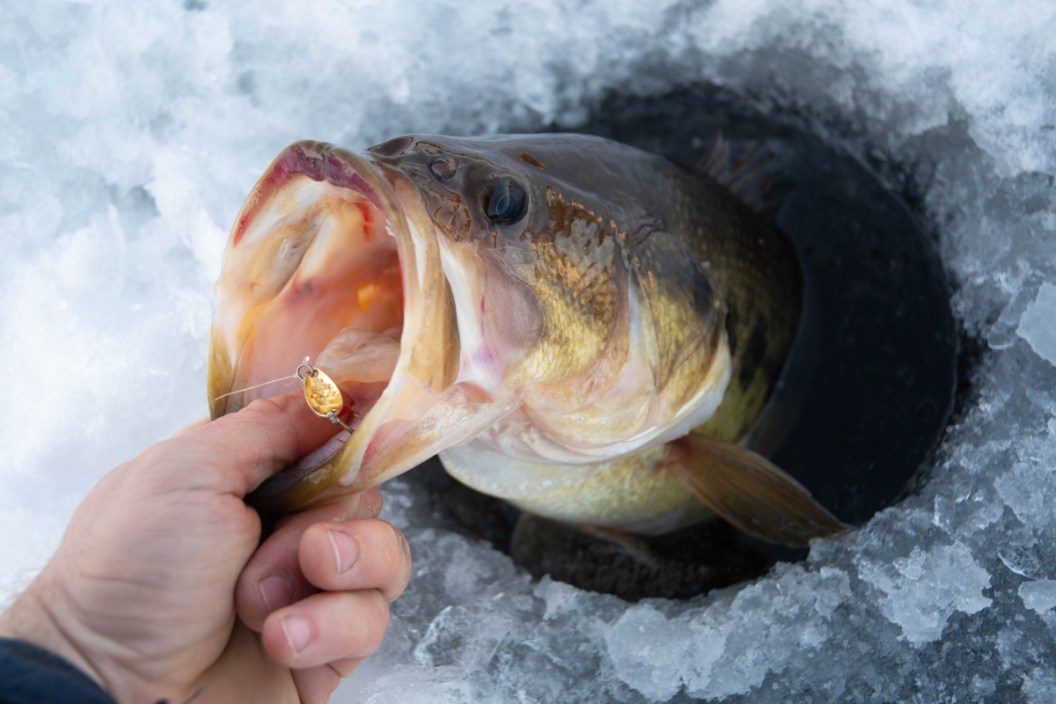 Winter Bass Fishing