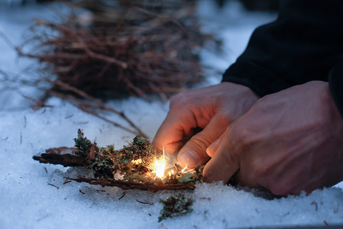 Winter Survival