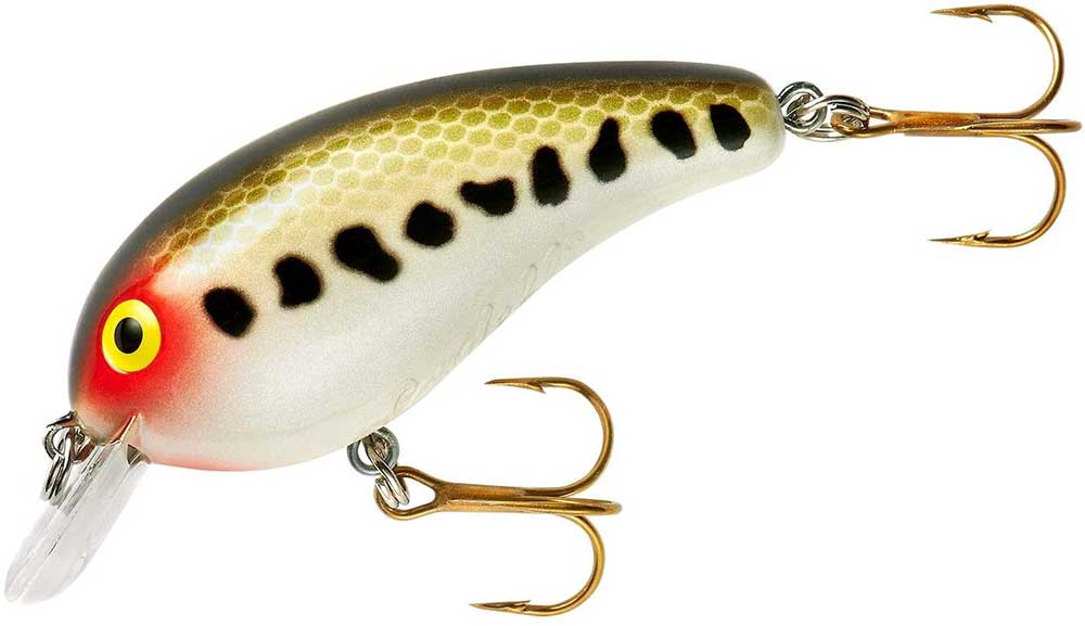 Best Crankbaits For Bass