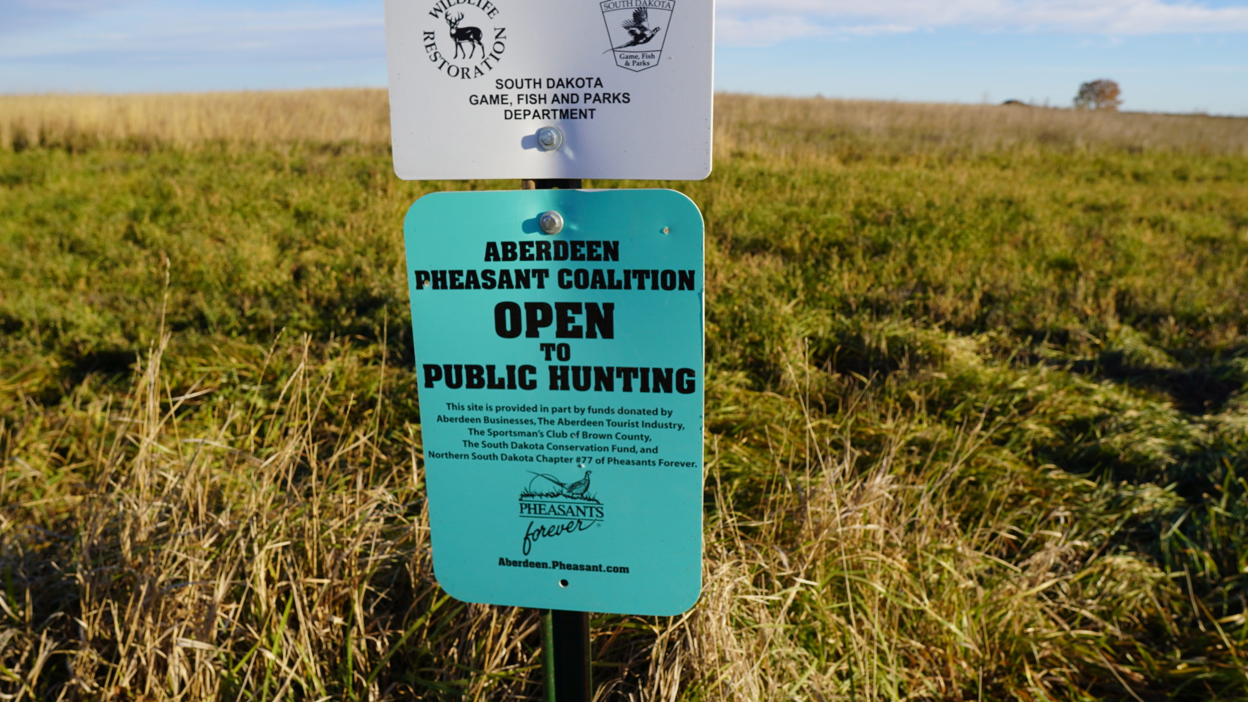 South Dakota Pheasant Hunting