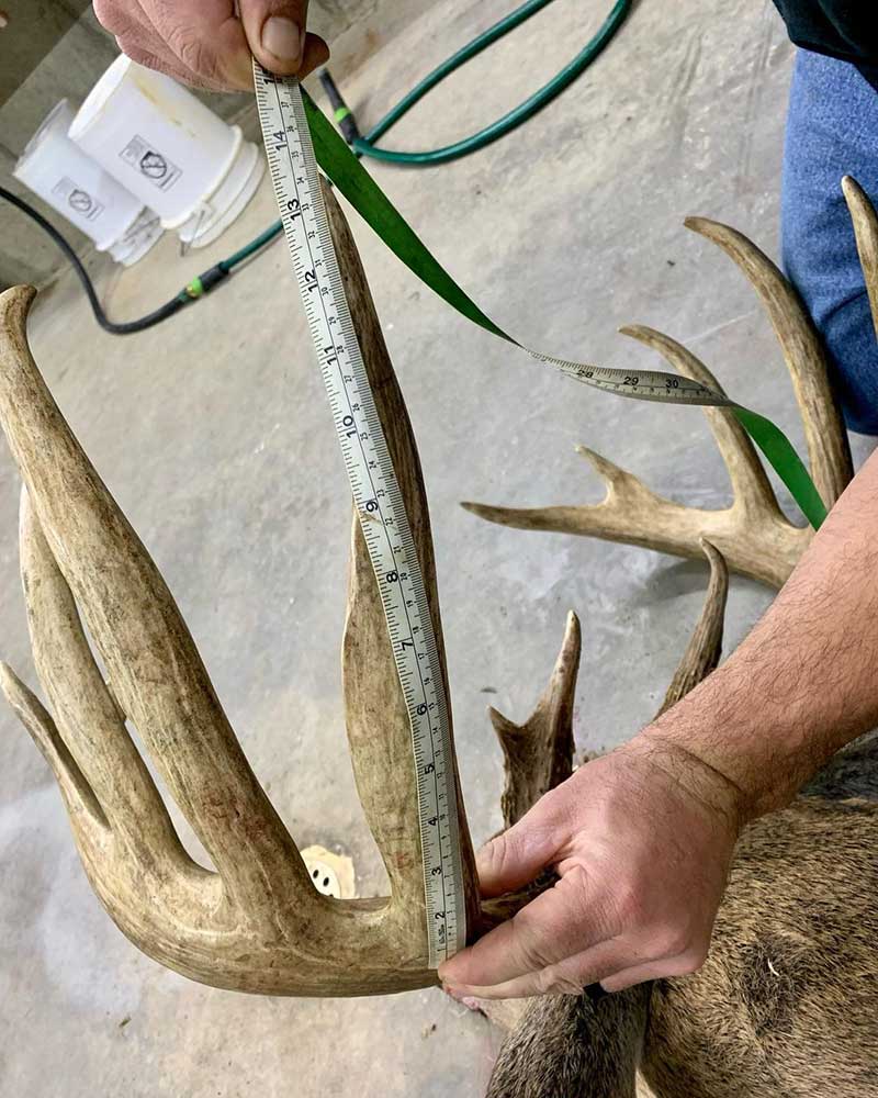 Second Biggest Record Typical Whitetail Deer