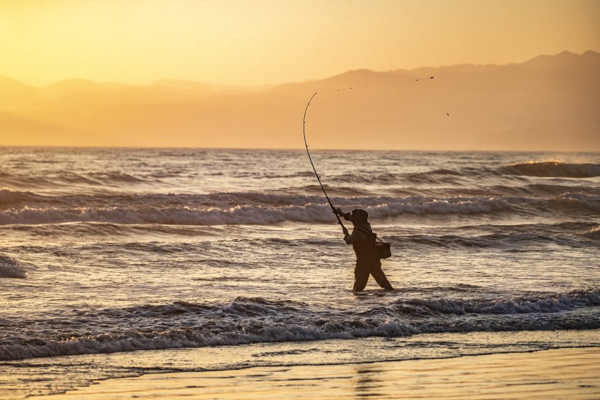 California surf fishing