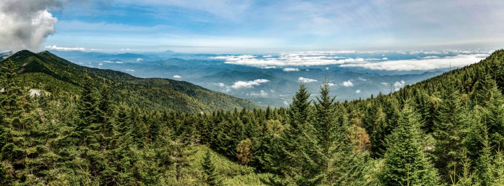 Panoramic view of the Great Smoky Mountains taken from the summit of Mount Mitchell, highest peak east of the Mississippi River.