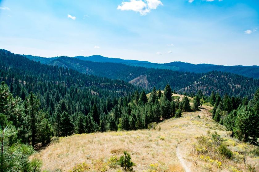 Scenic views of Boise National Forest in Idaho