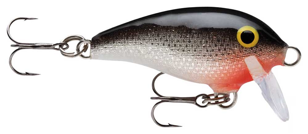 Best Crankbaits For Bass