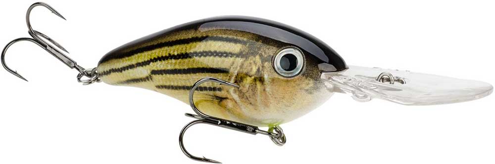 Best Crankbaits For Bass