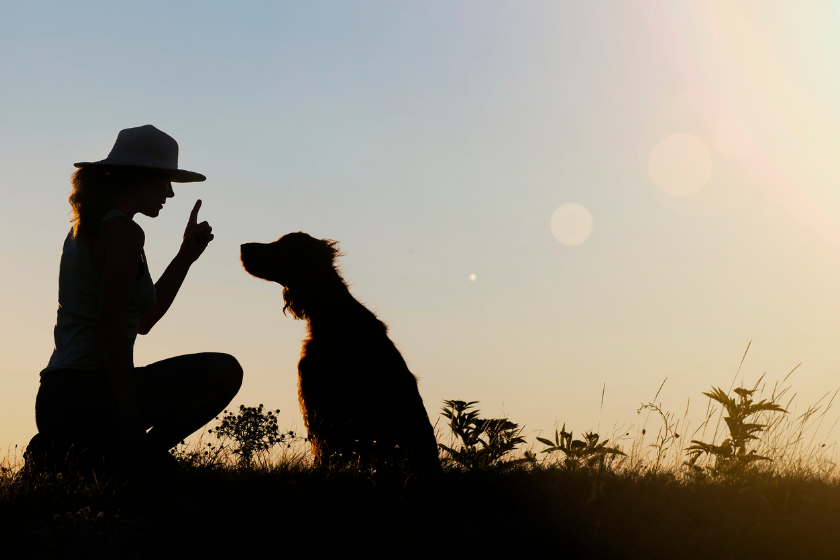 woman holding command for a dog