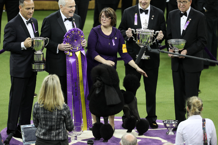Judges stand with Westminster dog show contestant