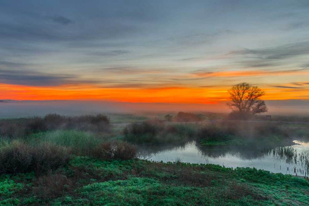 Sunrise At Merced National Wildlife Refuge In California