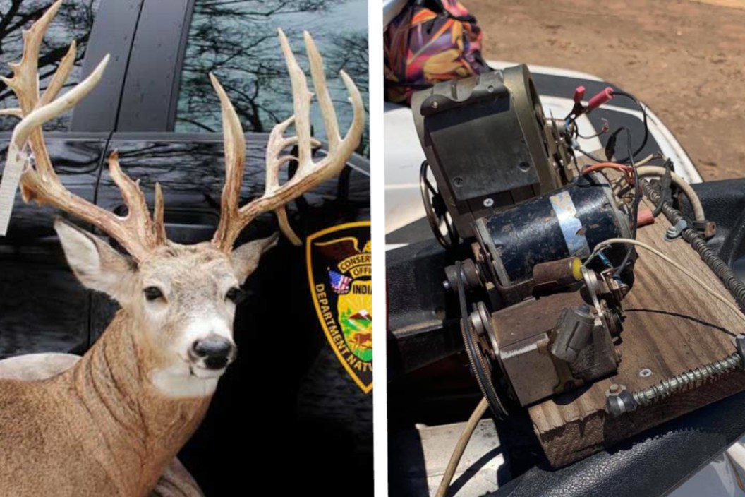 Examples of stupid poachers, deer and electrofishing equipment.