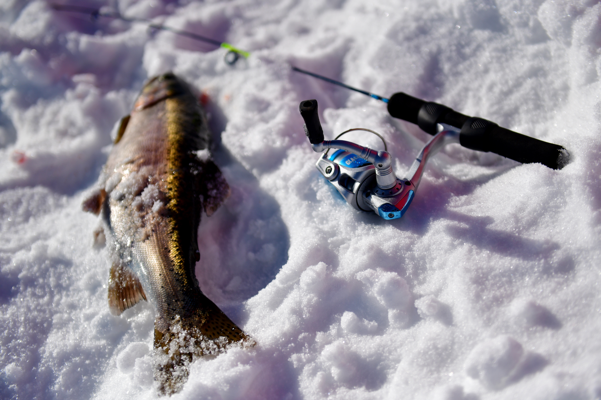 Places To Go Ice Fishing