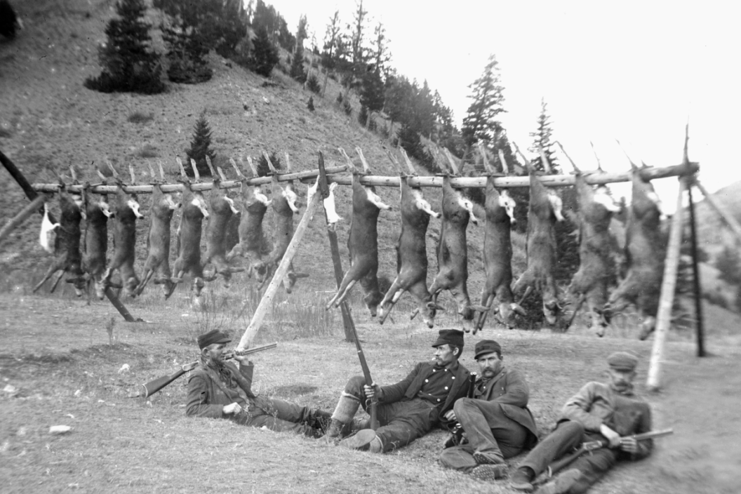 Hunters with a pole full of deer in the 1900s.