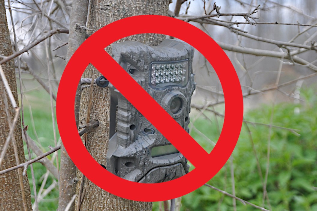 Arizona Finalizes Complete Trail Camera Ban Starting in 2022 - Wide ...