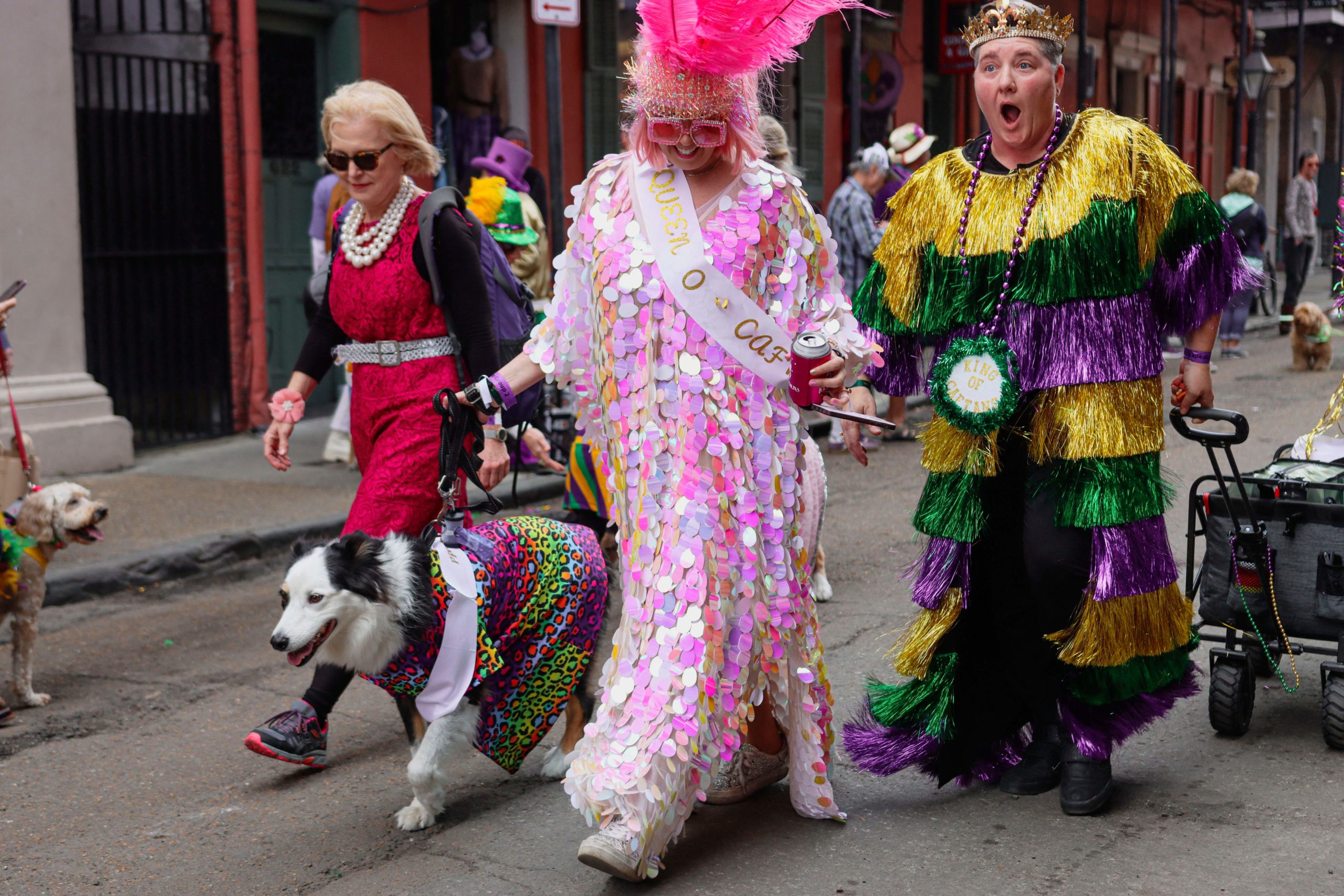 A Sparkle Lover's Guide to Mardi Gras
