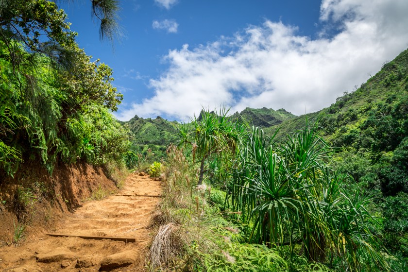 Picture of the famous Kalalau Trail on the island of Kauai, Hawaii. The sand trail is the main focus. There is some plants, trees and flowers in the foreground. The mountains and the blue sky with few clouds are in the background.