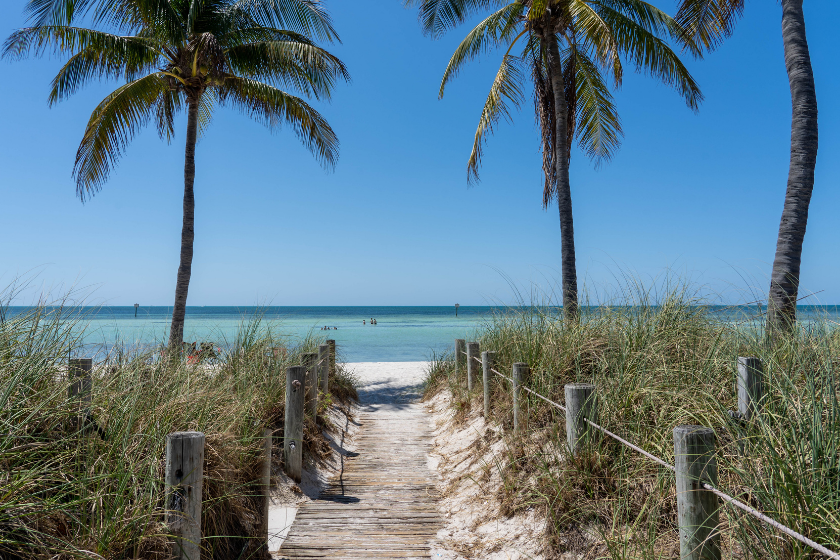 Pathway to a beach in Key West, framed by palm trees