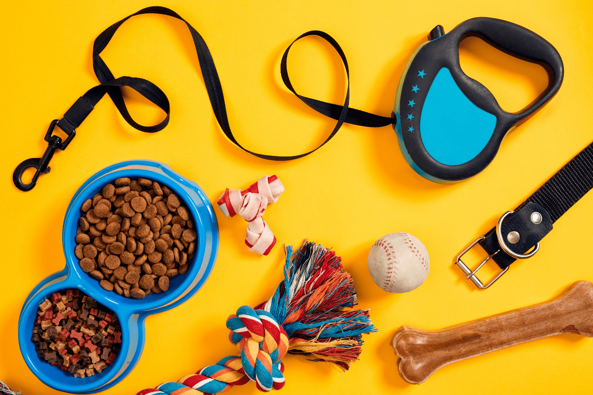 Dog Essentials 5 MustHaves Before Adopting or Rescuing