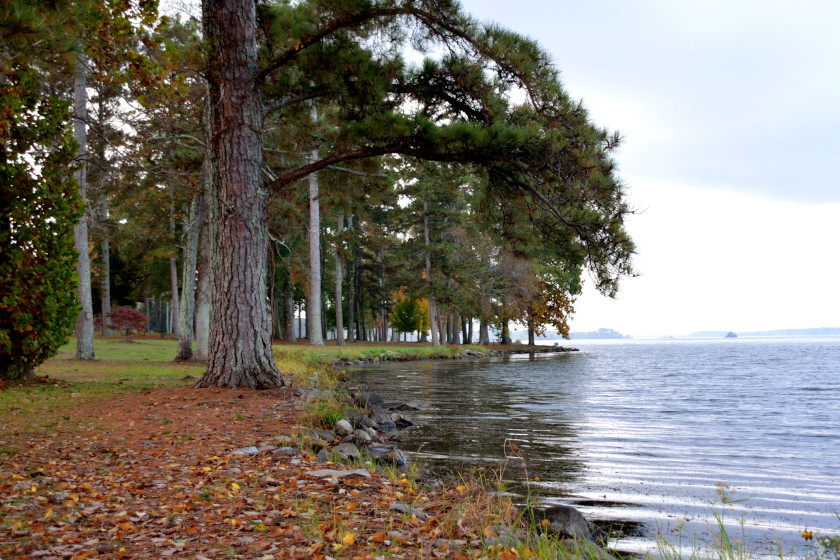 Guntersville Lake and a park nearby.