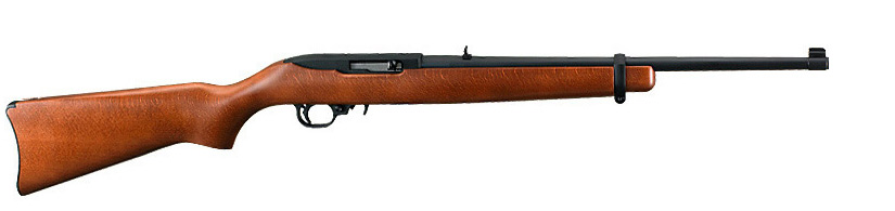 A Ruger 10/22 semi-automatic rifle.