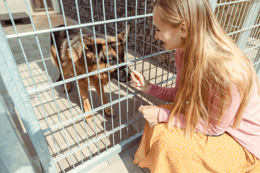 woman kneels to pet dog through bars