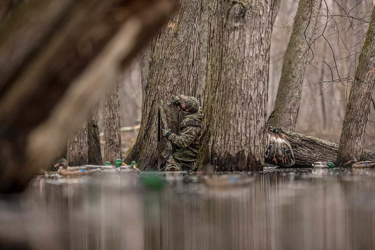 Camo Vs. Solids