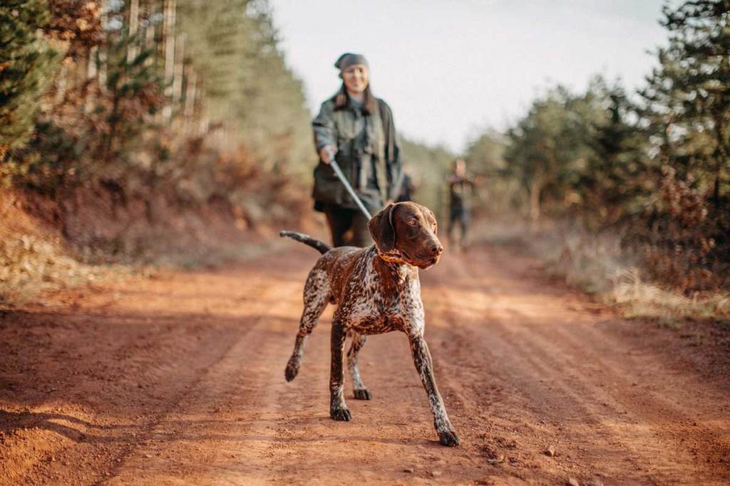 Women And Hunting Dogs