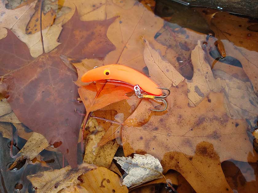 Yakima F-7 Flatfish fishing lure in leaf-laden water.