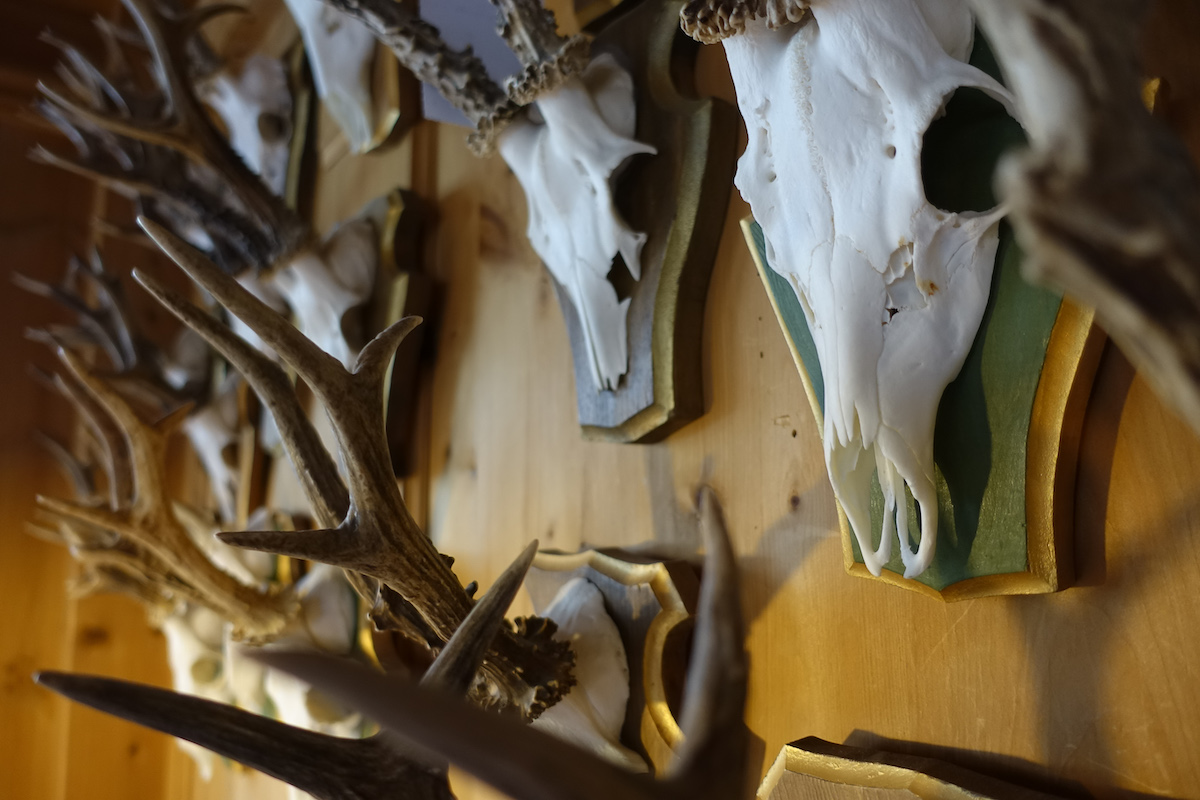 euro mount