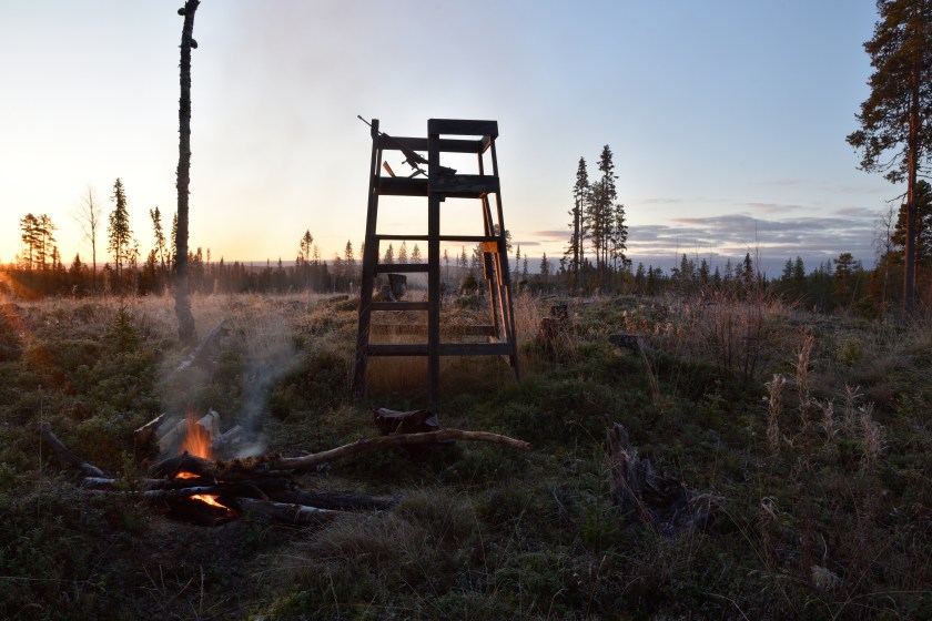 Wooden tower used for Moose hunting in morning lite and with a litle fire in front of it, picture from the North of Sweden.