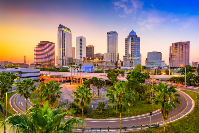 tampa florida most dog friendly cities