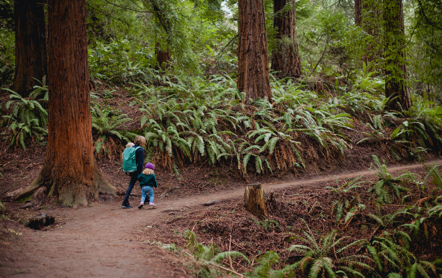 A mother in her late 20s hiking with two children in a forest in Oregon.