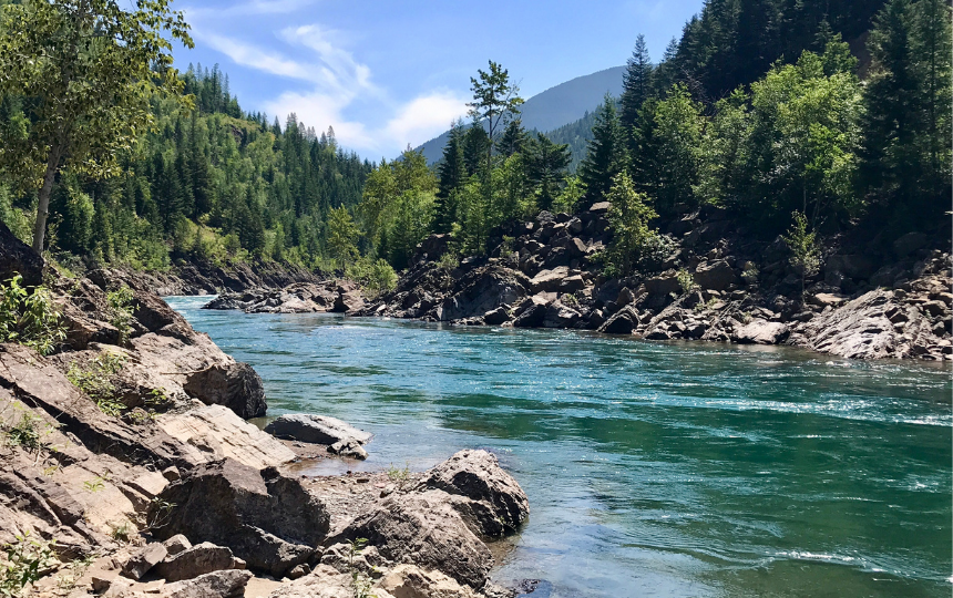 blue river cuts through rocky shores with acres of green forest around