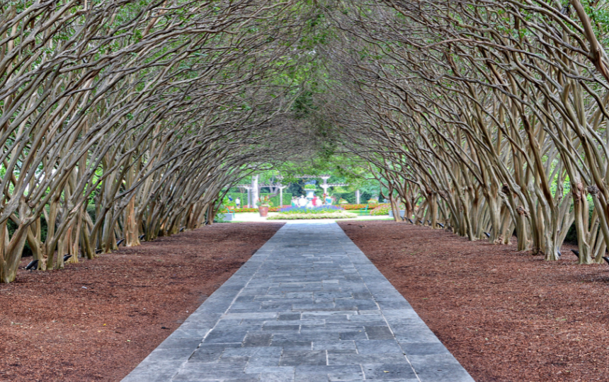 best botanical gardens in the us