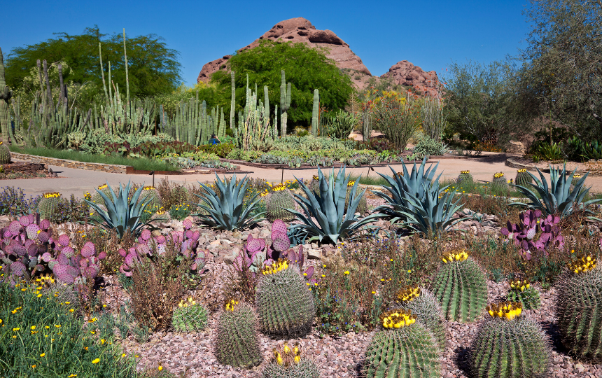 best botanical gardens in the us
