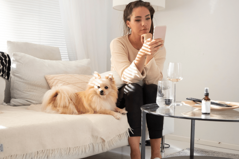 Best Petting Sitting Apps for Walkers, Picky Parents & More