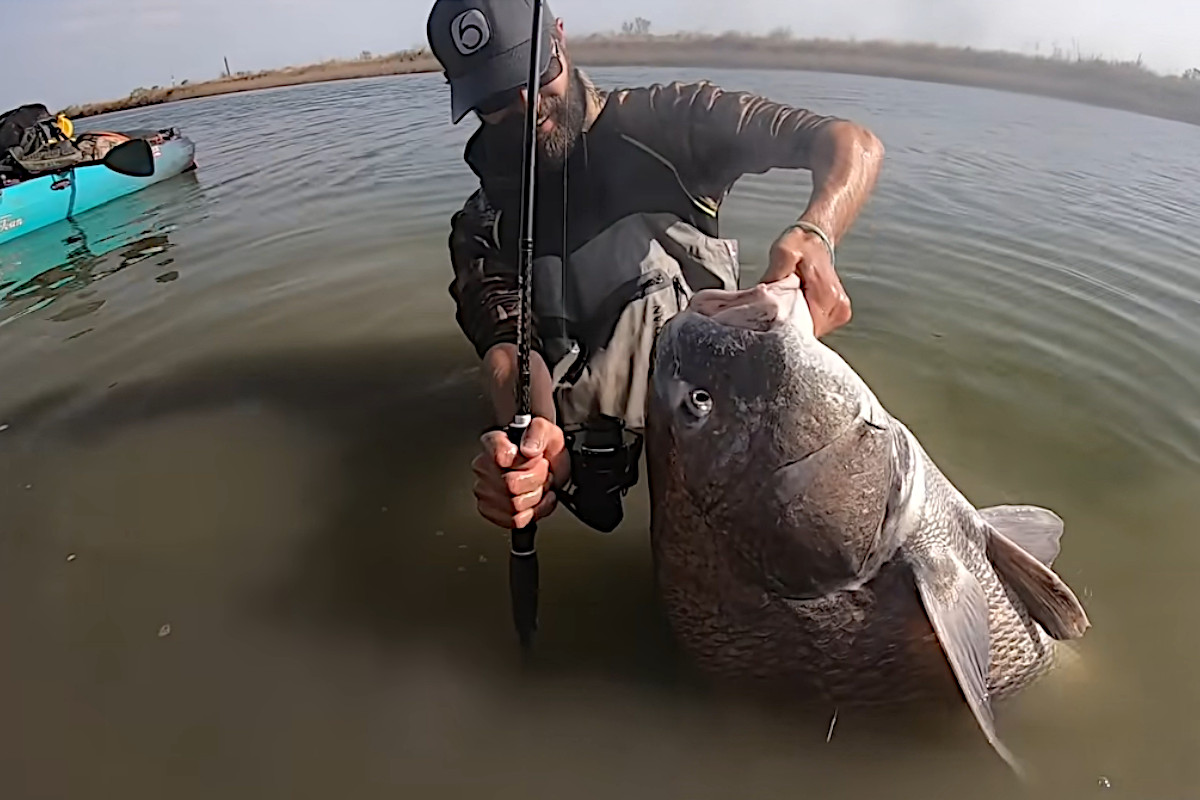 Fishing for Beginners: How to Fish for Black Drum