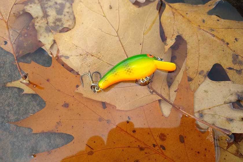 Cotton Cordell Big O trout lure floating in a leafy stream.