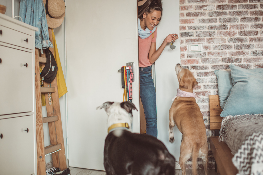 woman walks into apartment with two dogs