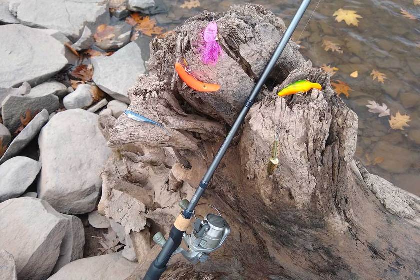 10 Best Trout Lures for American Rivers and Streams