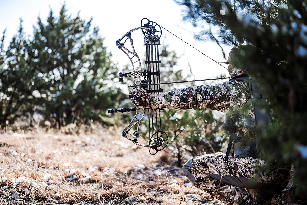best bows for turkey hunting