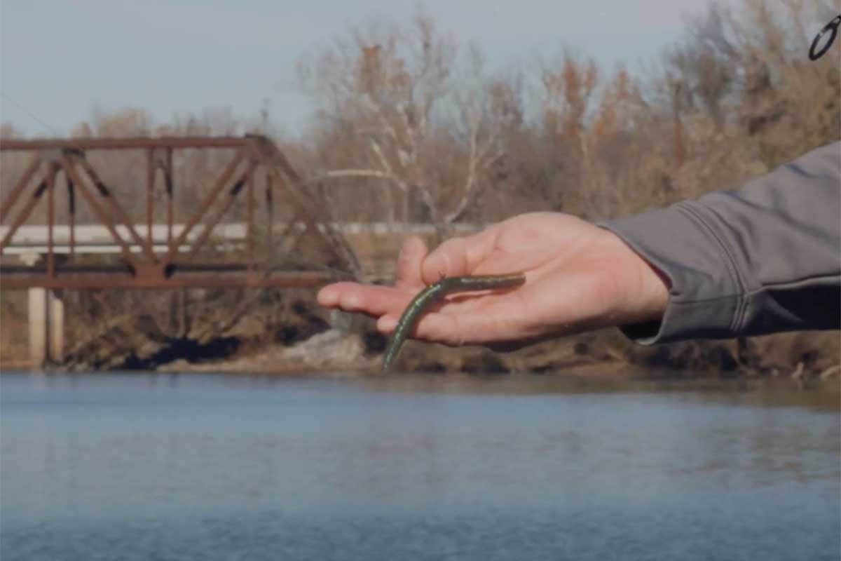 Bass Fishing Lures Under $5