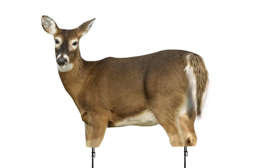 7 Full Body Deer Decoys and Tips for Using Them Effectively