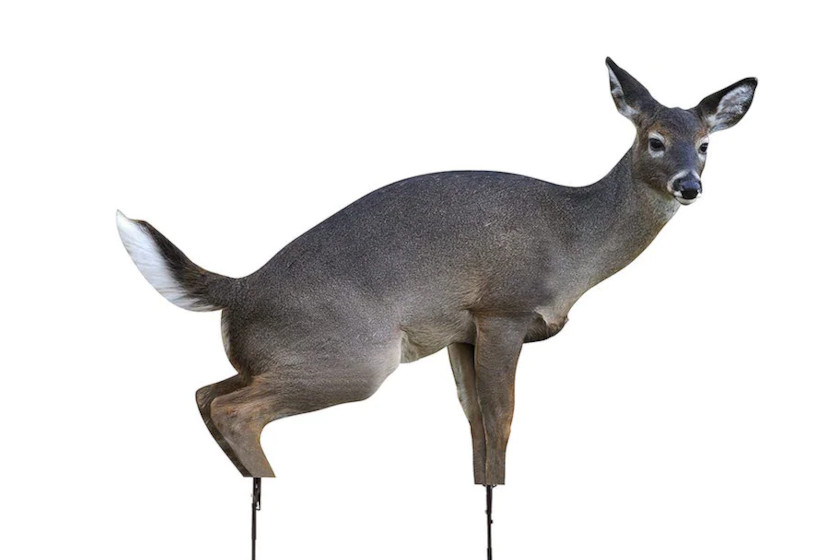 7 Full Body Deer Decoys and Tips for Using Them Effectively