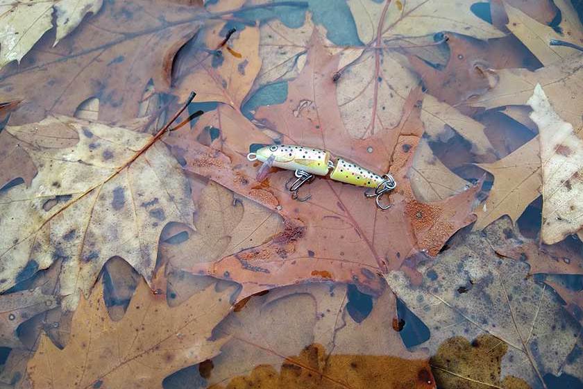 The Rapala Jointed Minnow excels as a trout lure.