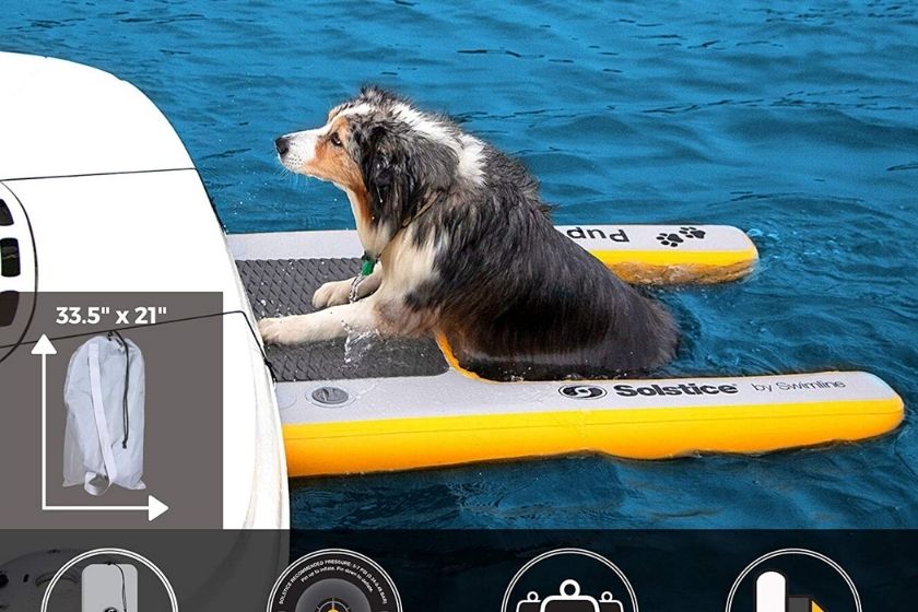 portable dog pool ramp