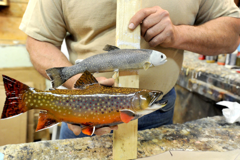 taxidermist-salary-what-these-wildlife-artists-usually-make